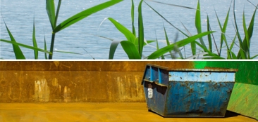 Bildcollage: Schilf am Wasser und Abfallcontainer